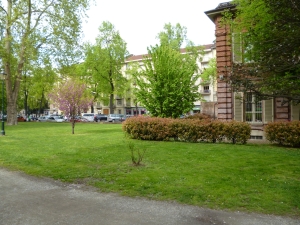 Torino