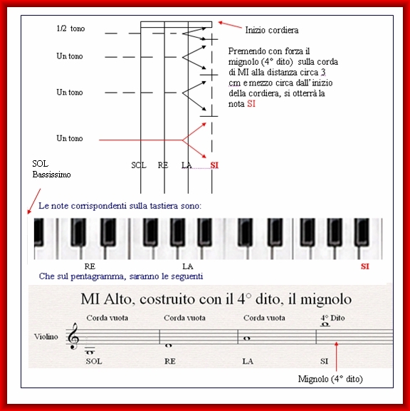 violino