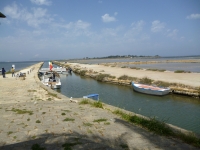 marsala