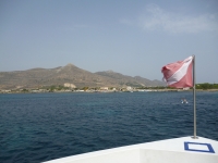 marsala