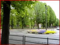 torino